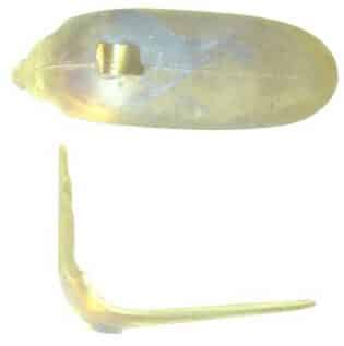 French Fowler Butt Plate - Brass