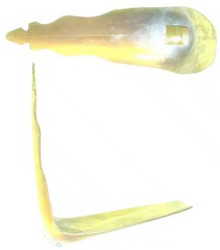 243B