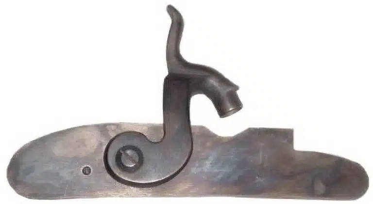 6030119