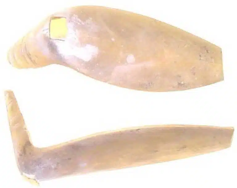 78B
