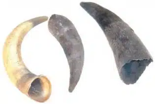 Blank Horn - Variable Length - Up to 9in
