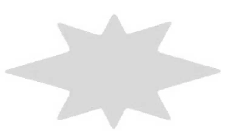HS4-GS